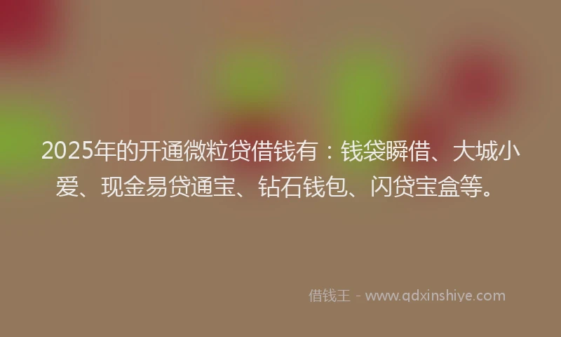 2025年的开通微粒贷借钱有：钱袋瞬借、大城小爱、现金易贷通宝、钻石钱包、闪贷宝盒等。