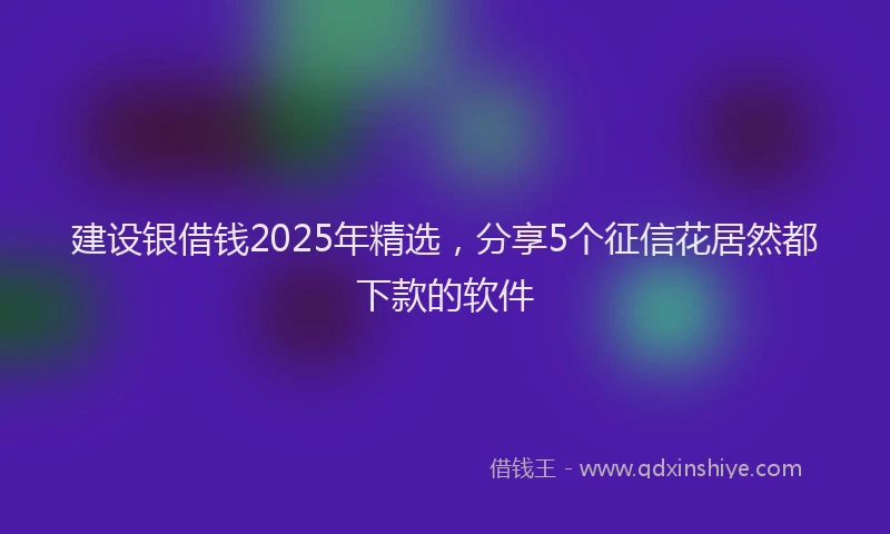 建设银借钱2025年精选，分享5个征信花居然都下款的软件