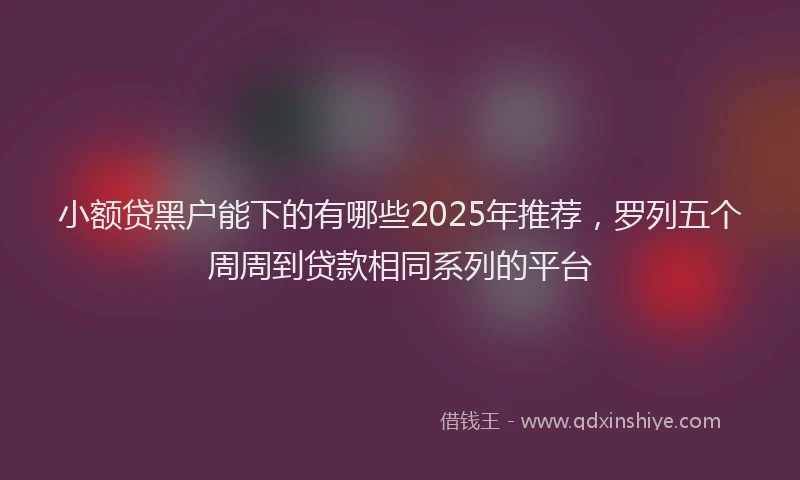 小额贷黑户能下的有哪些2025年推荐，罗列五个周周到贷款相同系列的平台