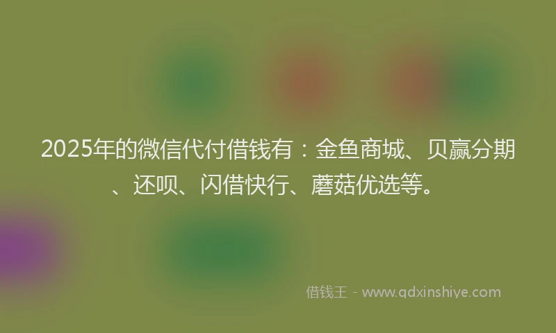 2025年的微信代付借钱有：金鱼商城、贝赢分期、还呗、闪借快行、蘑菇优选等。