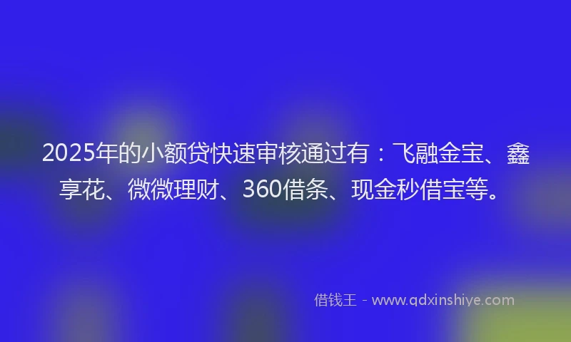 2025年的小额贷快速审核通过有：飞融金宝、鑫享花、微微理财、360借条、现金秒借宝等。