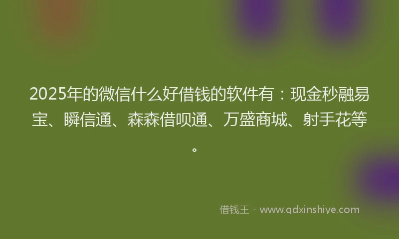 2025年的微信什么好借钱的软件有：现金秒融易宝、瞬信通、森森借呗通、万盛商城、射手花等。