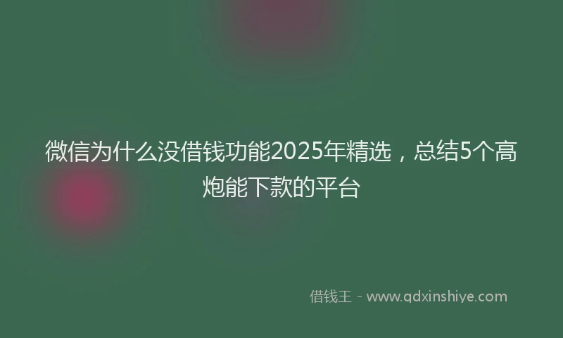 微信为什么没借钱功能2025年精选，总结5个高炮能下款的平台