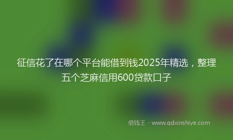 征信花了在哪个平台能借到钱2025年精选，整理五个芝麻信用600贷款口子