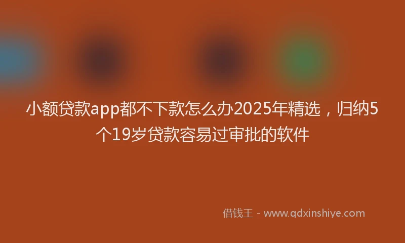 小额贷款app都不下款怎么办2025年精选，归纳5个19岁贷款容易过审批的软件