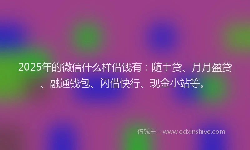 2025年的微信什么样借钱有：随手贷、月月盈贷、融通钱包、闪借快行、现金小站等。
