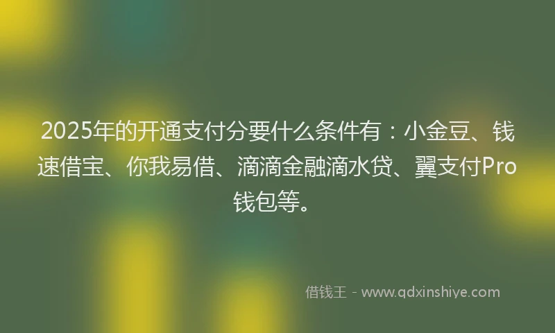 2025年的开通支付分要什么条件有：小金豆、钱速借宝、你我易借、滴滴金融滴水贷、翼支付Pro钱包等。