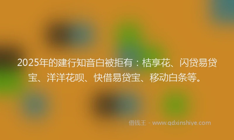 2025年的建行知音白被拒有：桔享花、闪贷易贷宝、洋洋花呗、快借易贷宝、移动白条等。