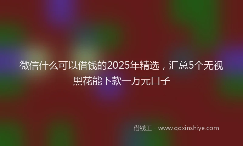 微信什么可以借钱的2025年精选，汇总5个无视黑花能下款一万元口子