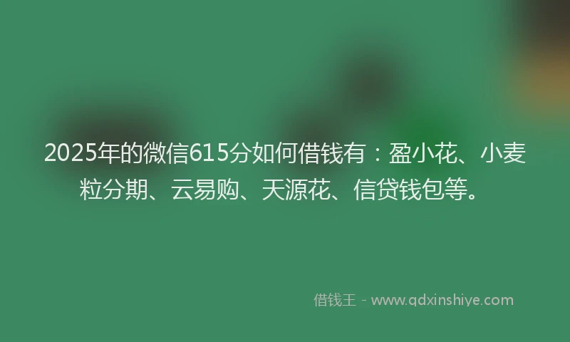 2025年的微信615分如何借钱有：盈小花、小麦粒分期、云易购、天源花、信贷钱包等。