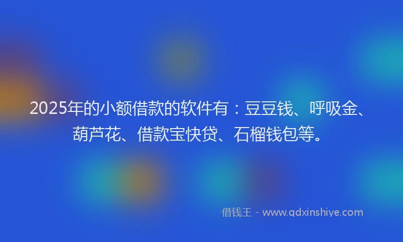2025年的小额借款的软件有：豆豆钱、呼吸金、葫芦花、借款宝快贷、石榴钱包等。