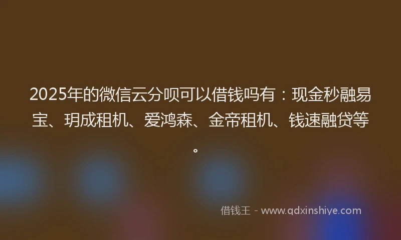 2025年的微信云分呗可以借钱吗有：现金秒融易宝、玥成租机、爱鸿森、金帝租机、钱速融贷等。