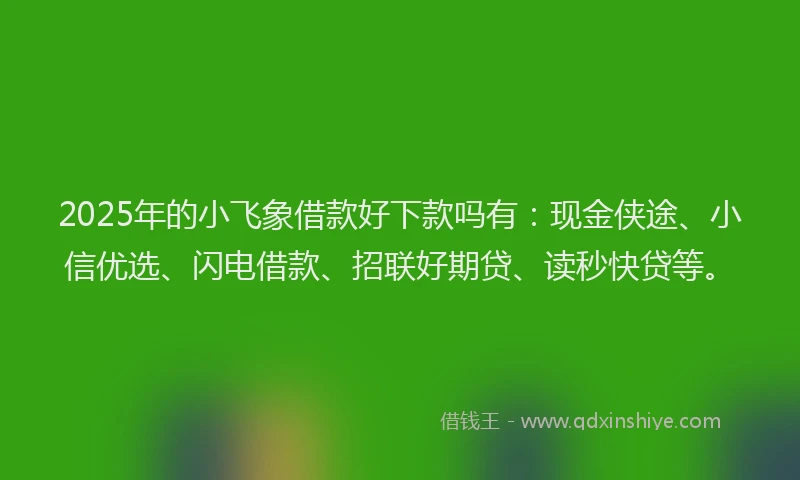 2025年的小飞象借款好下款吗有：现金侠途、小信优选、闪电借款、招联好期贷、读秒快贷等。