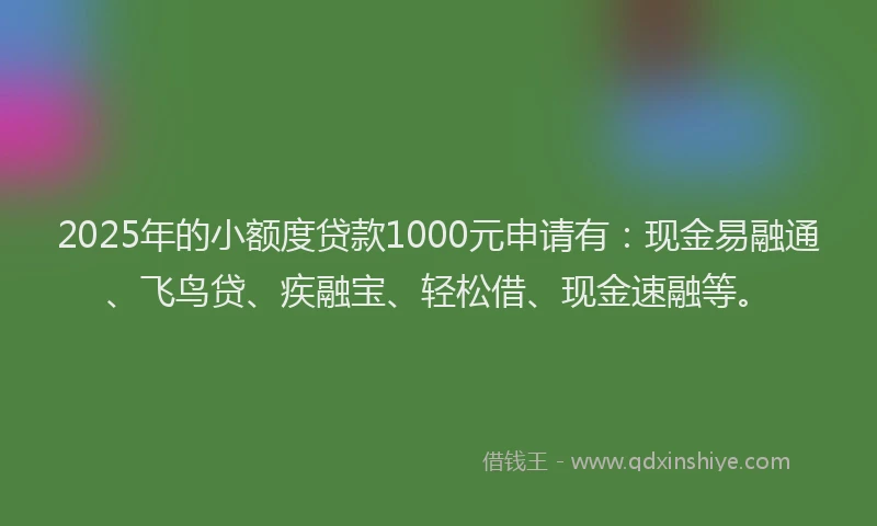 2025年的小额度贷款1000元申请有：现金易融通、飞鸟贷、疾融宝、轻松借、现金速融等。