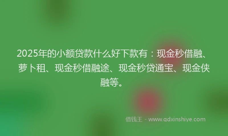 2025年的小额贷款什么好下款有：现金秒借融、萝卜租、现金秒借融途、现金秒贷通宝、现金侠融等。