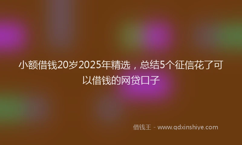 小额借钱20岁2025年精选，总结5个征信花了可以借钱的网贷口子
