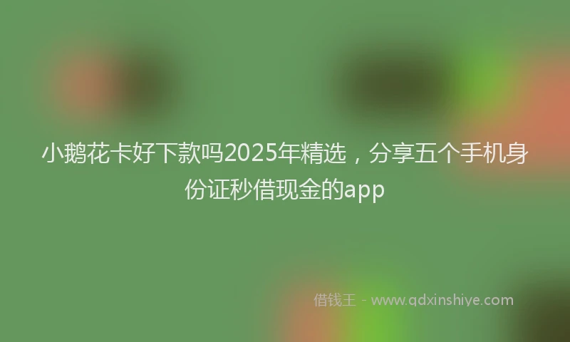 小鹅花卡好下款吗2025年精选，分享五个手机身份证秒借现金的app