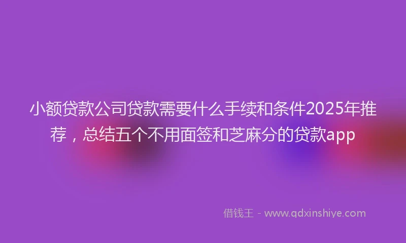 小额贷款公司贷款需要什么手续和条件2025年推荐，总结五个不用面签和芝麻分的贷款app