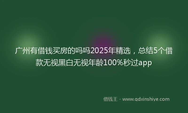 广州有借钱买房的吗吗2025年精选，总结5个借款无视黑白无视年龄100%秒过app