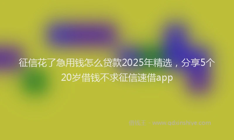 征信花了急用钱怎么贷款2025年精选，分享5个20岁借钱不求征信速借app