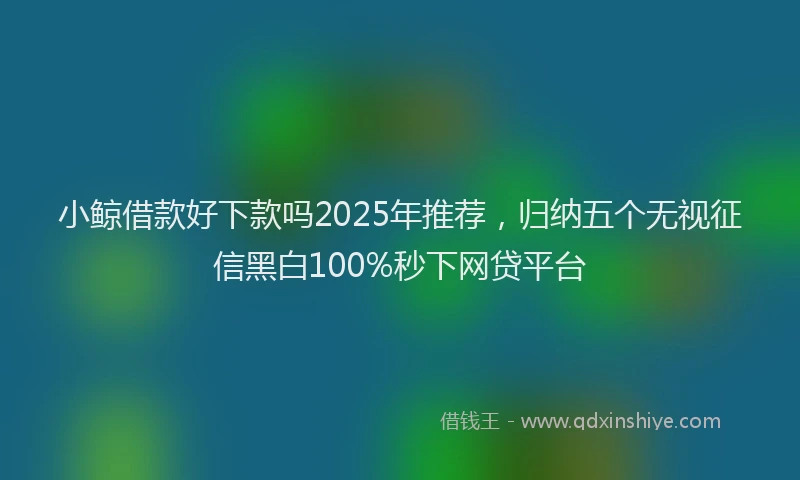 小鲸借款好下款吗2025年推荐，归纳五个无视征信黑白100%秒下网贷平台