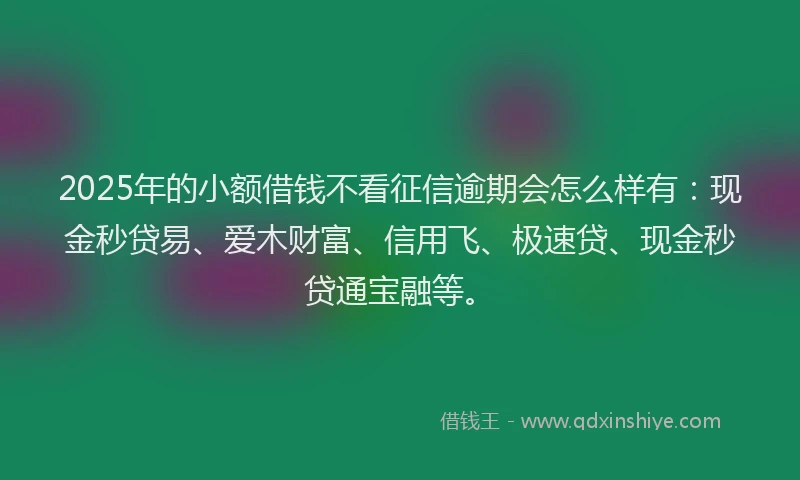 2025年的小额借钱不看征信逾期会怎么样有：现金秒贷易、爱木财富、信用飞、极速贷、现金秒贷通宝融等。
