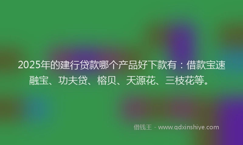 2025年的建行贷款哪个产品好下款有：借款宝速融宝、功夫贷、榕贝、天源花、三枝花等。