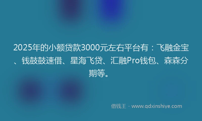 2025年的小额贷款3000元左右平台有：飞融金宝、钱鼓鼓速借、星海飞贷、汇融Pro钱包、森森分期等。
