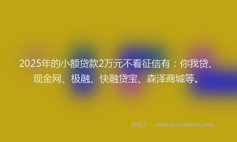 2025年的小额贷款2万元不看征信有：你我贷、现金网、极融、快融贷宝、森泽商城等。