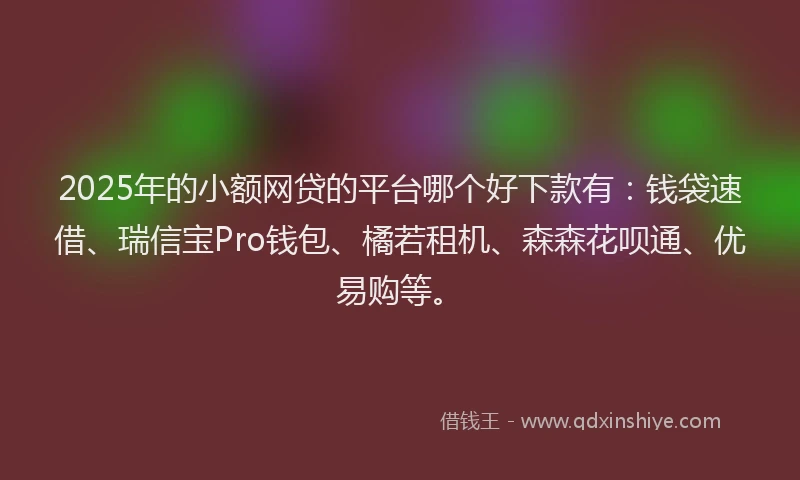 2025年的小额网贷的平台哪个好下款有：钱袋速借、瑞信宝Pro钱包、橘若租机、森森花呗通、优易购等。