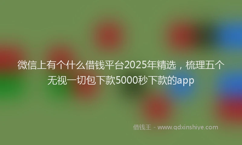 微信上有个什么借钱平台2025年精选，梳理五个无视一切包下款5000秒下款的app