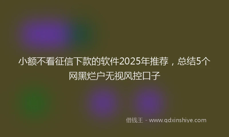 小额不看征信下款的软件2025年推荐，总结5个网黑烂户无视风控口子