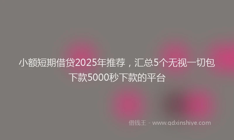 小额短期借贷2025年推荐，汇总5个无视一切包下款5000秒下款的平台