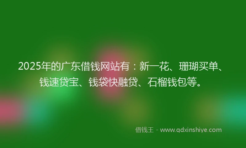 2025年的广东借钱网站有：新一花、珊瑚买单、钱速贷宝、钱袋快融贷、石榴钱包等。
