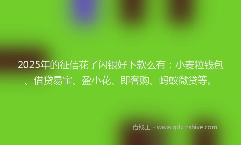 2025年的征信花了闪银好下款么有：小麦粒钱包、借贷易宝、盈小花、即客购、蚂蚁微贷等。