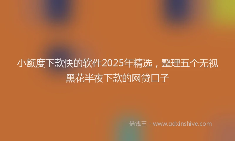 小额度下款快的软件2025年精选，整理五个无视黑花半夜下款的网贷口子