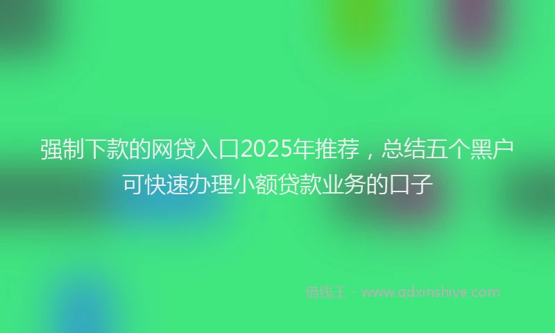 强制下款的网贷入口2025年推荐，总结五个黑户可快速办理小额贷款业务的口子