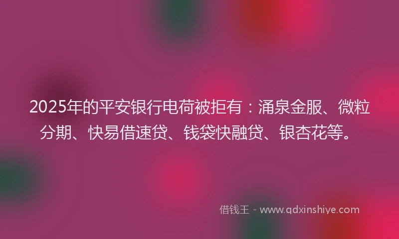 2025年的平安银行电荷被拒有：涌泉金服、微粒分期、快易借速贷、钱袋快融贷、银杏花等。