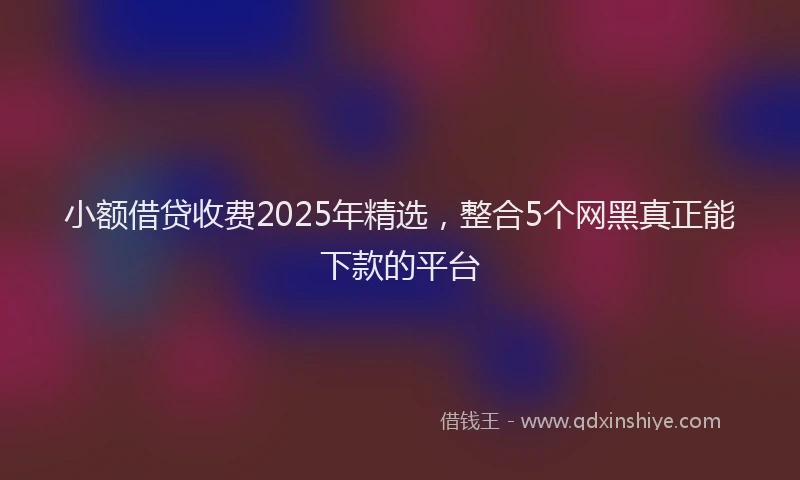 小额借贷收费2025年精选，整合5个网黑真正能下款的平台