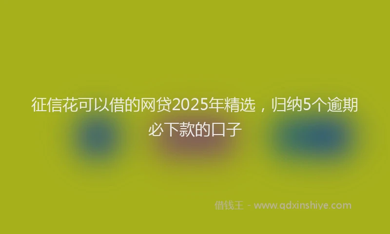 征信花可以借的网贷2025年精选，归纳5个逾期必下款的口子