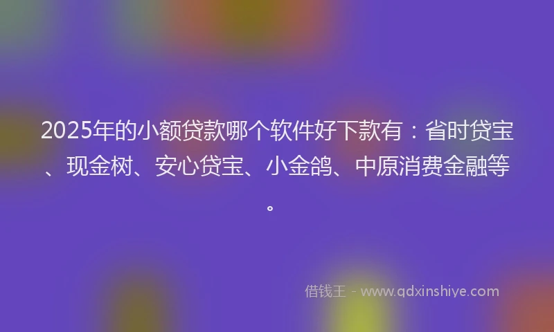 2025年的小额贷款哪个软件好下款有：省时贷宝、现金树、安心贷宝、小金鸽、中原消费金融等。