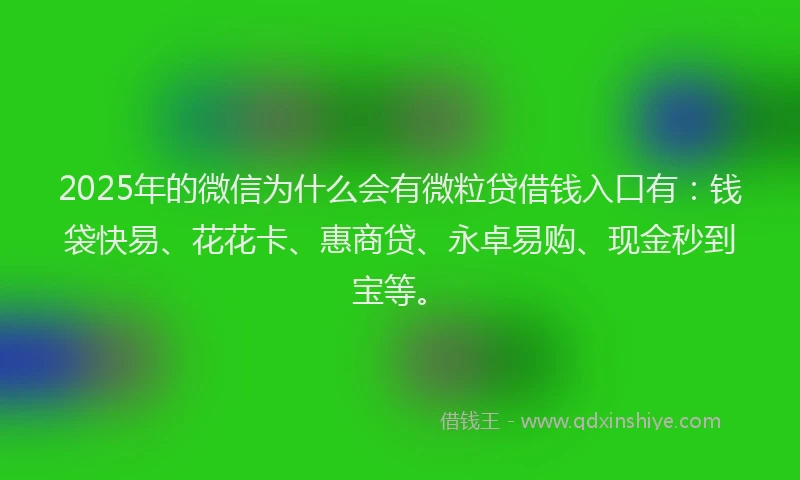 2025年的微信为什么会有微粒贷借钱入口有：钱袋快易、花花卡、惠商贷、永卓易购、现金秒到宝等。