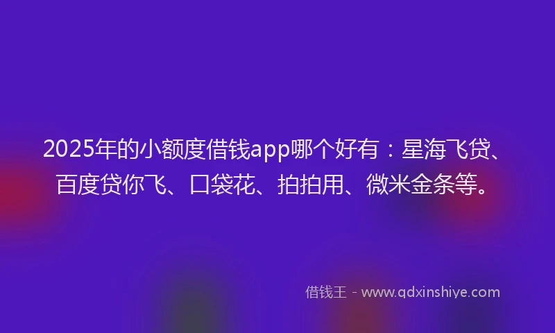 2025年的小额度借钱app哪个好有：星海飞贷、百度贷你飞、口袋花、拍拍用、微米金条等。