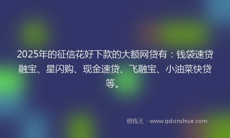 2025年的征信花好下款的大额网贷有：钱袋速贷融宝、星闪购、现金速贷、飞融宝、小油菜快贷等。