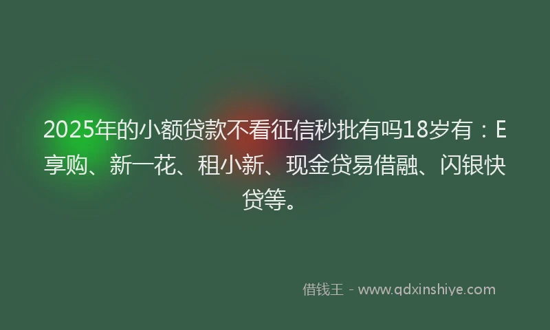 2025年的小额贷款不看征信秒批有吗18岁有：E享购、新一花、租小新、现金贷易借融、闪银快贷等。