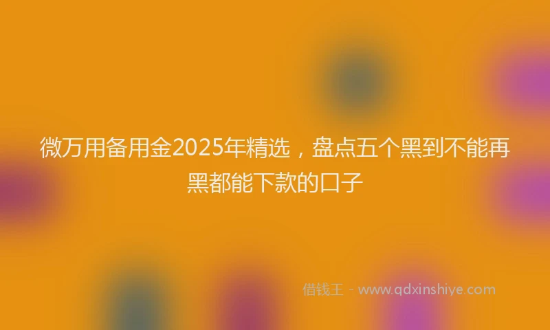 微万用备用金2025年精选，盘点五个黑到不能再黑都能下款的口子
