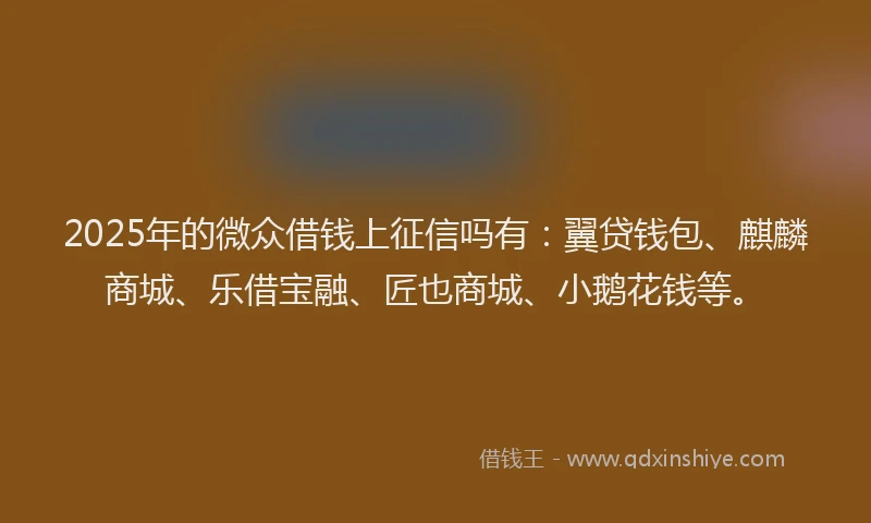 2025年的微众借钱上征信吗有：翼贷钱包、麒麟商城、乐借宝融、匠也商城、小鹅花钱等。