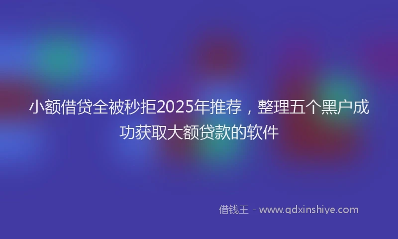小额借贷全被秒拒2025年推荐，整理五个黑户成功获取大额贷款的软件