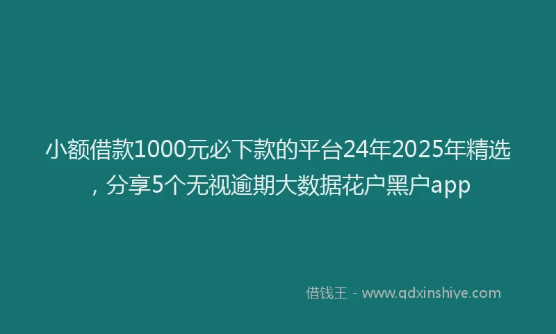 小额借款1000元必下款的平台24年2025年精选，分享5个无视逾期大数据花户黑户app