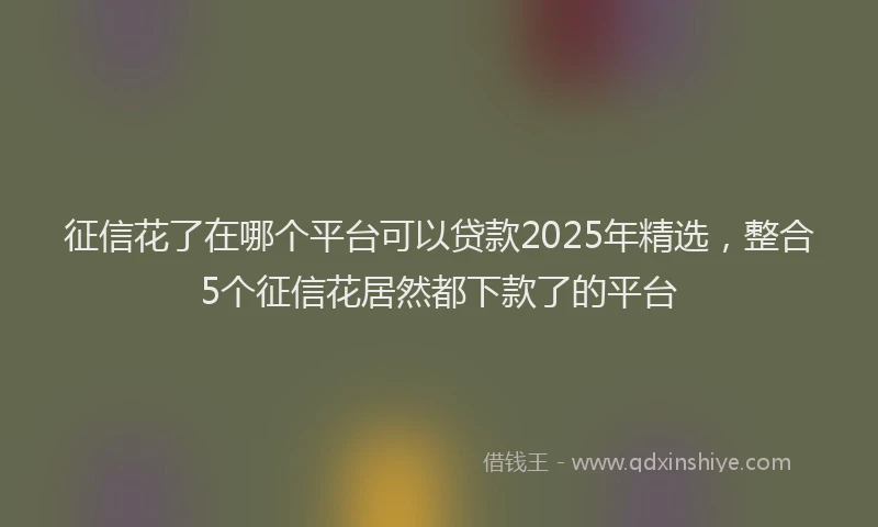 征信花了在哪个平台可以贷款2025年精选，整合5个征信花居然都下款了的平台